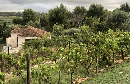 Jonquieres-Saint-Vincent Villa | Maison de Famille Superbe Vue, au Centre du Triangle Avignon Nimes et Arles