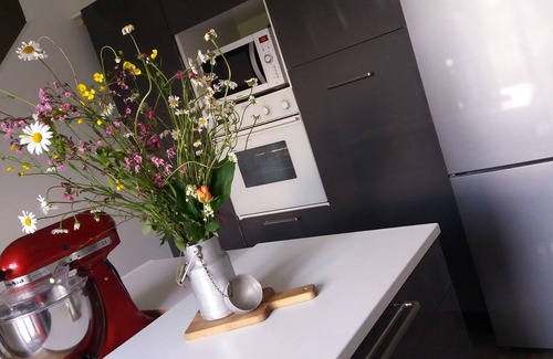 Saint-Jean-de-Marsacq House | Maison de Vacances ou de Cures Dans la Campagne Landaise