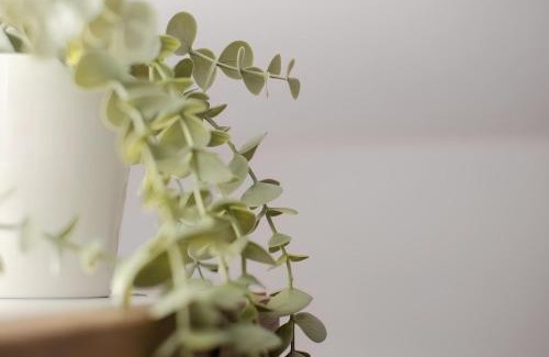 Giovinazzo Apartment | Maison de l'aiR - apt with Jacuzzi