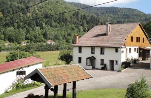 La Bresse House | Maison de Montagne à La Bresse, 2 Chambres, Confort et Activités, Garage, Wifi Inclus - FR-1-589-152