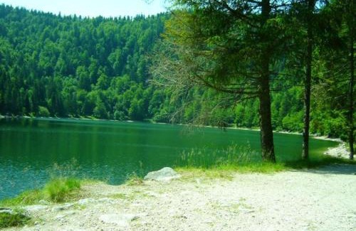 La Bresse House | Maison de Montagne à La Bresse, 2 Chambres, Confort et Activités, Garage, Wifi Inclus - FR-1-589-152