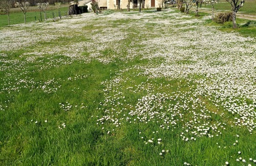 Bergerac House | Maison de Style Périgourdine Entourée de 6 Hectares de Prairies