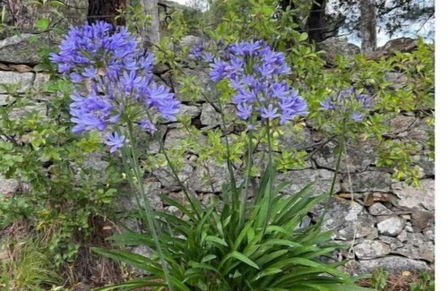 Castiglione House | Maison de Village en Montagne