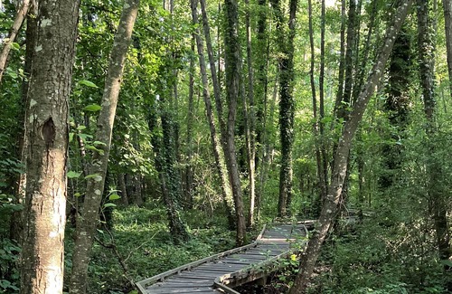 Villeneuve-sur-Bellot House | Maison Dhôtes, à la Campagne 6 Couchages. 1h15 de Paris & 45 min Deurodisney