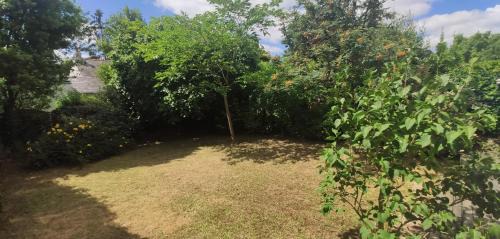 Jean-Mace - Chantenay House | Maison et jardin Nantes Chantenay