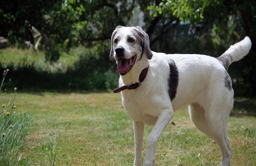 Betschdorf Apartment | Maison Fleurie