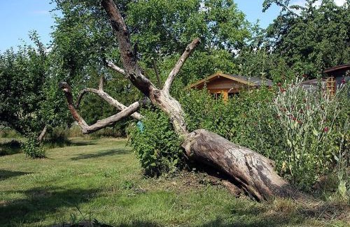 Betschdorf Apartment | Maison Fleurie