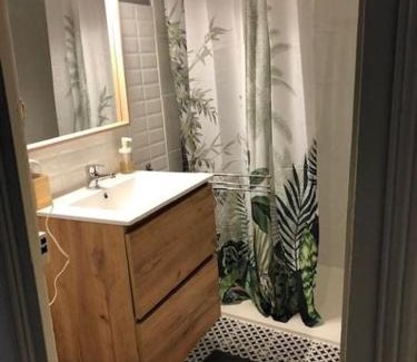 Salies-de-Bearn Apartment | Maison ICHABELENIA