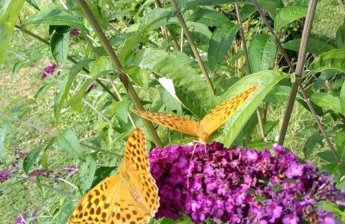 Queyrieres House | Maison isolée, au cœur des volcans, terrain clos, jeux, confort, cheminée, proche forêts et villages. - FR-1-582-285