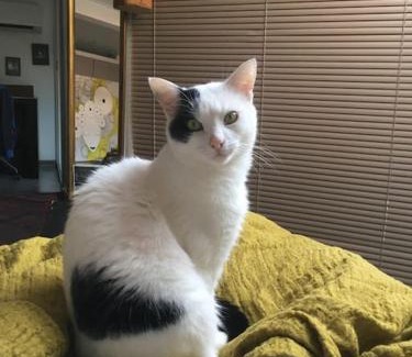 Vauban Villa | Maison Montebello