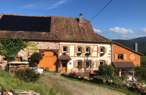 Sainte-Croix-aux-Mines House | Maison pittoresque à Sainte-Croix-aux-Mines, vue sur la montagne