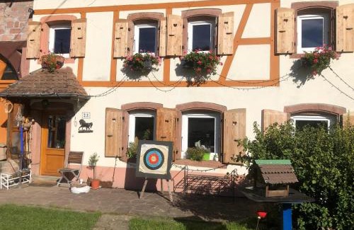 Sainte-Croix-aux-Mines House | Maison pittoresque à Sainte-Croix-aux-Mines, vue sur la montagne