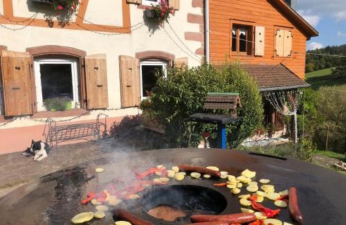 Sainte-Croix-aux-Mines House | Maison pittoresque à Sainte-Croix-aux-Mines, vue sur la montagne