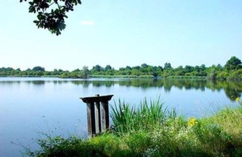 Mezieres-en-Brenne House | Maison spacieuse avec cour et cheminée au cœur du Parc Naturel de la Brenne - FR-1-591-229
