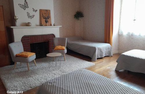 Mezieres-en-Brenne House | Maison spacieuse avec cour et cheminée au cœur du Parc Naturel de la Brenne - FR-1-591-229