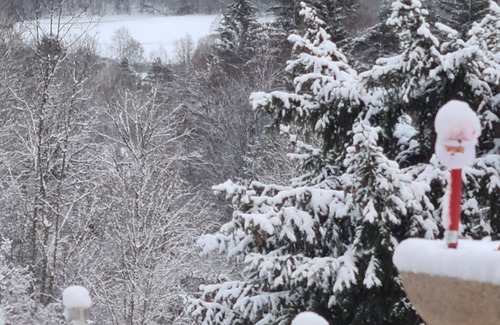 Saint-Disdier House | Maison T2 Dans les Hautes Alpes Avec Jardin