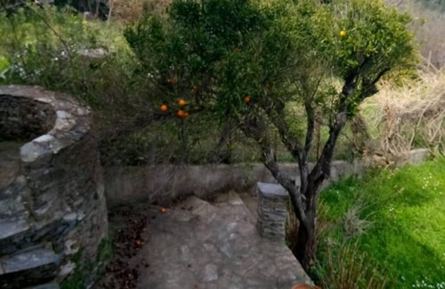 Taglio-Isolaccio House | Maison Typique Village Corse