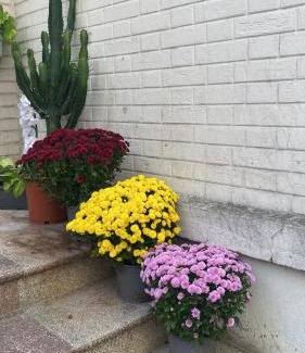 La Garenne-Colombes Apartment | Maisonnette au calme proche T2