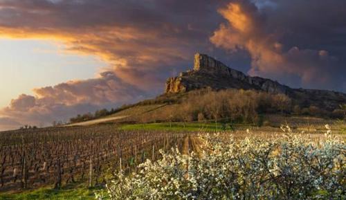 Sance Apartment | Maisonnette au calme, grand jardin privatif, accueil vélos et motos