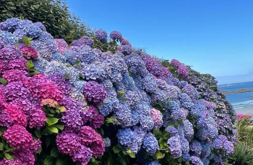 Trevou-Treguignec House | Maisonnette, Résidence les gîtes de Trestel