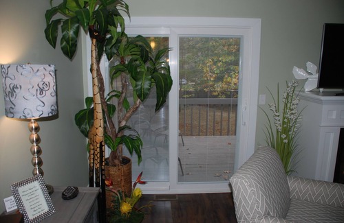 Saugatuck House | Majestic Pines Condo ~ minutes away from downtown Saugatuck