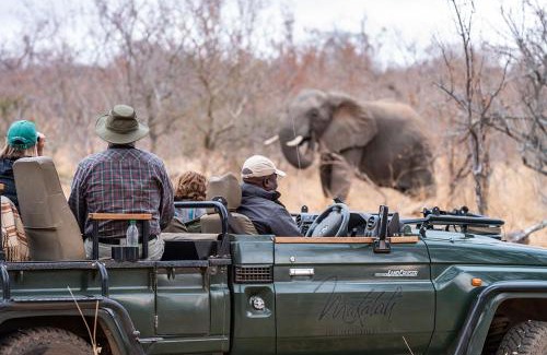 Hoedspruit Cabin | Makalali River Lodge