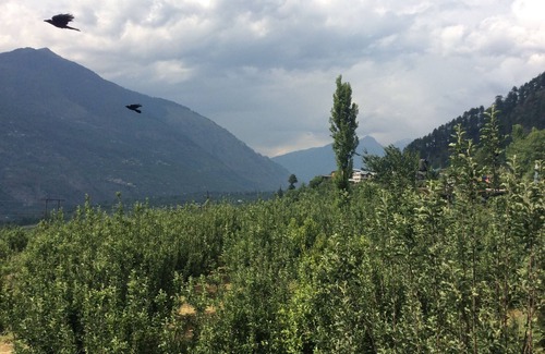 Manali House | Malana Heights Far from Maddling Crowd.