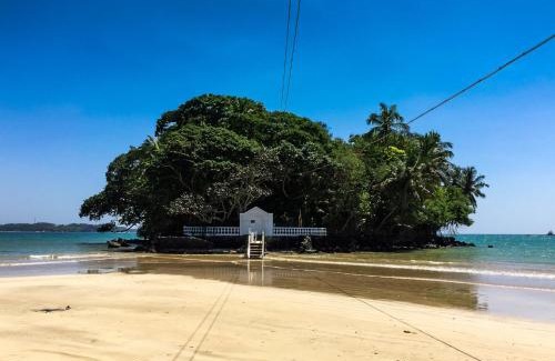 Weligama Hotel | Mama's Weligama Surf Beach