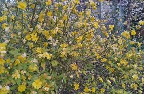 Stroncone House | Mamma Giulia