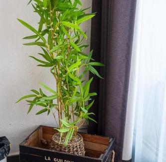 Saint-Francois Apartment | Mango Chik Meublé Classé 2 étoiles !