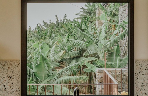 Arco da Calheta Villa | Mango House
