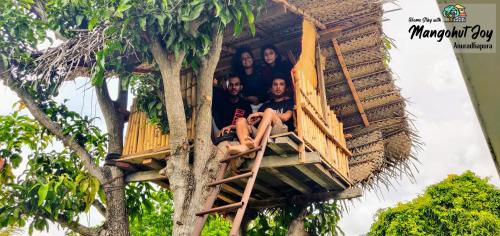 Anuradhapura House | Mangohut Joy