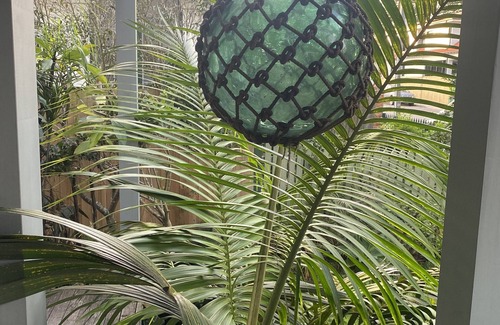 Manly Apartment | Manly oasis - wonderful street in manly - perfect place to stay, free parking