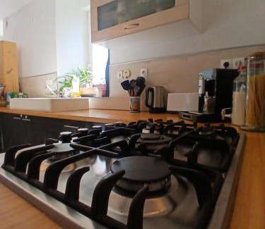 Kerlouet House | Manoir de kerozet - Chambres chez l'habitant - 3 chiens