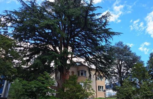 Merano Apartment | Mansarde Zeder in Privatvilla im Zentrum Merans