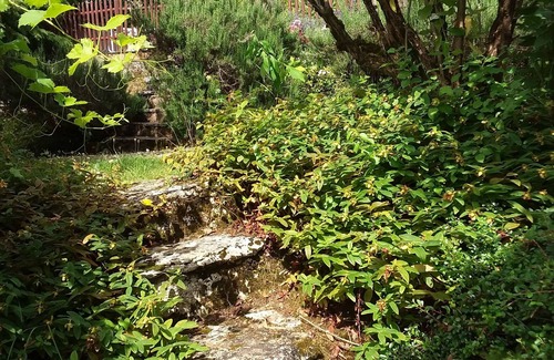 Campagnac-les-Quercy House | Mansion - Campagnac les Quercy