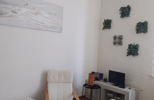 Marina di Pisa Apartment | Mansion house 100 mt from the sea