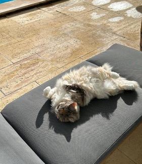 Parede House | MAR VERDE - Parede-Cascais