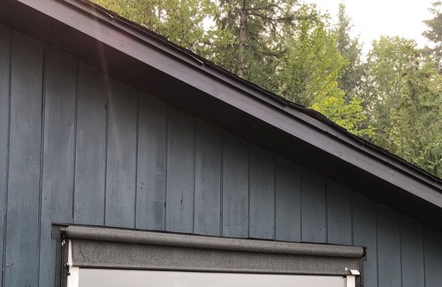 Swansea Point Cabin | Mara Lake Eagle’s Nest