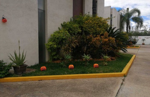 Santa Cruz Xoxocotlan Hotel | Maravillas