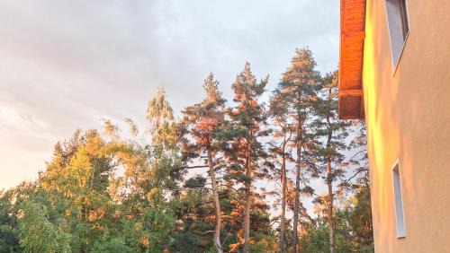 Tsigov Chark Cabin | Margarita Mountain Apartments