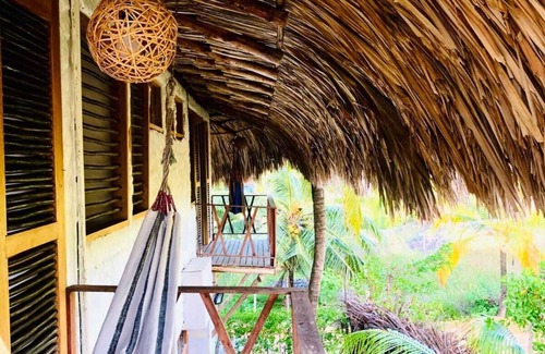 Monitos Hotel | MARIA MOÑITOS HOSTEL