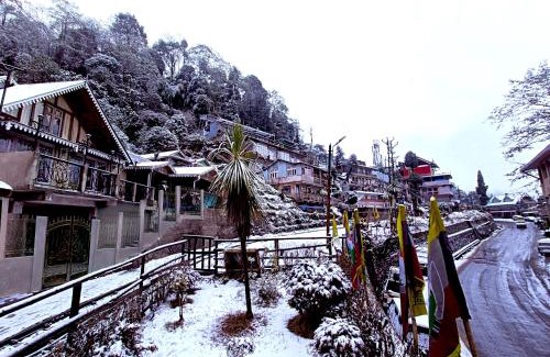 Darjeeling House | Marigold Manor Homestay