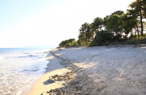 Ghisonaccia Apartment | Marina Corsa Residence Apartment 3 rooms 6 persons 150 m sandy beach Ghisonaccia