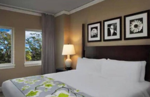 Myrtle Beach Resort | Marriott Ocean Watch Resort- Garden View-Steps from the ocean
