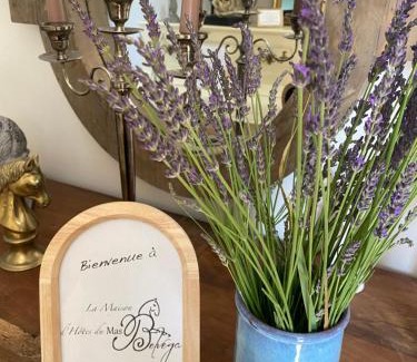 Drome Sud Provence Bed & Breakfast | Mas Belvega