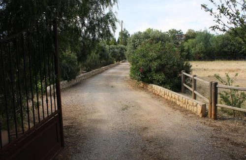 Saint-Esteve Apartment | Mas de l'Olivier