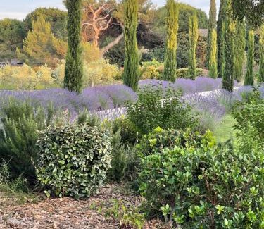 St.-Remy-de-Provence Villa | Mas de Nanor