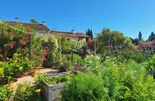 St.-Remy-de-Provence Bed & Breakfast | MAS DES FIGUES -très calme-Certifié Biologique FRBio10-jardin naturel écologique vivant-piscine 12x6-Copieux brunch paysan méditerranéen du jardin cuisine maison huile d'olive-Agritourisme-Alpilles-Saint Rémy de Provence-du 30 avril au 20 septembre 2026-