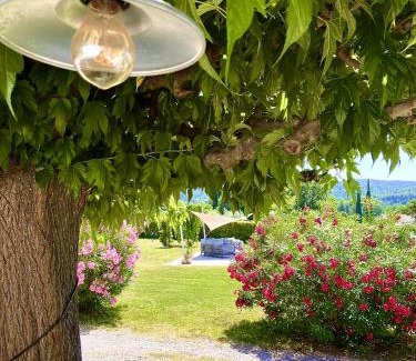 Correns Villa | Mas du Murier